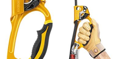 Petzl Gold Ascender (1124 lb capacity)
