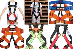 Child's Climbing Harness